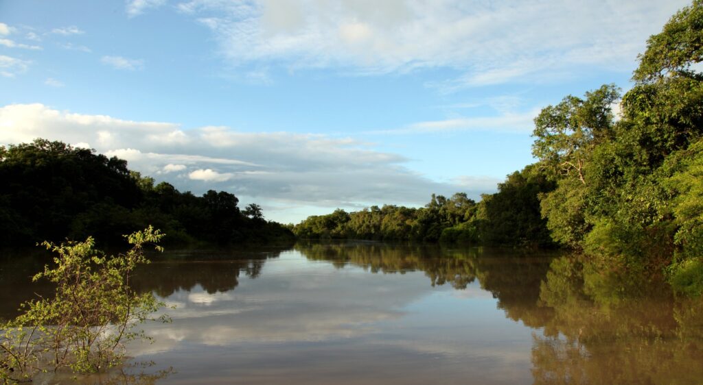 Nigerian wildlife regions and all its unique animals- Kainji National Park, river